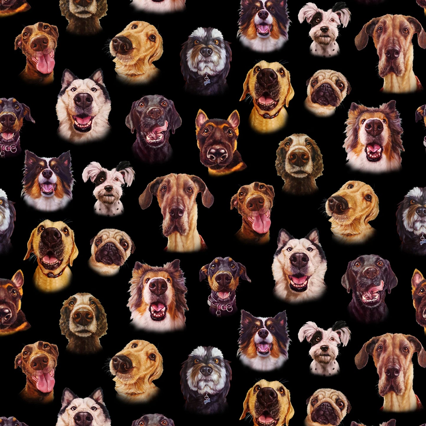 Dog Faces on Black - Elizabeth Studios Cotton