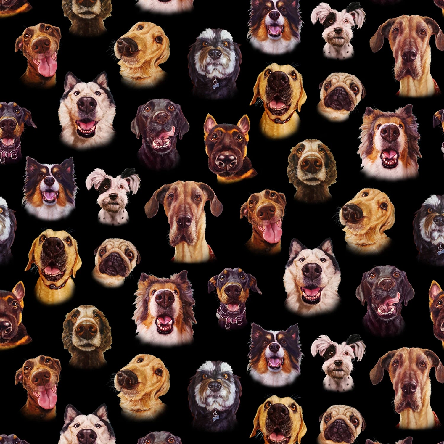 Dog Faces on Black - Elizabeth Studios Cotton
