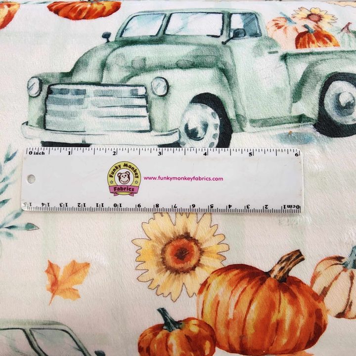 CLEARANCE Pumpkin Farm Spearmint Digital - Shannon Fabrics Cuddle Minky