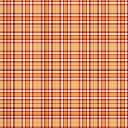 Harvest Plaid - Pumpkin Patch Keeper - Camelot Cotton