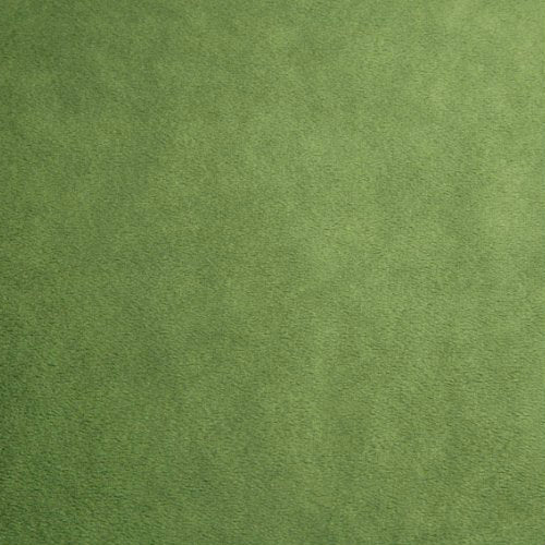 Kiwi Smooth - Shannon Fabrics Cuddle Minky