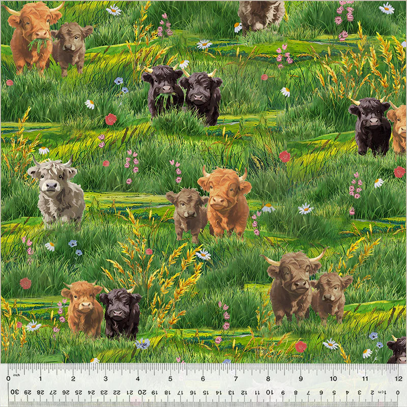 Highland Cows in the Field - Windham Fabrics Cotton