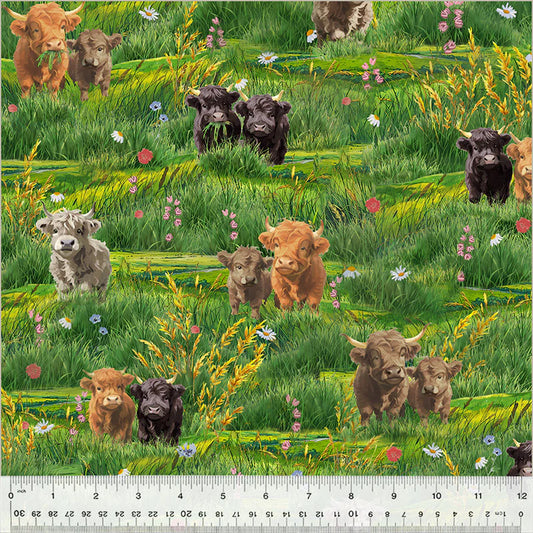 Highland Cows in the Field - Windham Fabrics Cotton