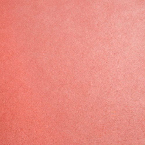 Coral Smooth - Shannon Fabrics Cuddle Minky