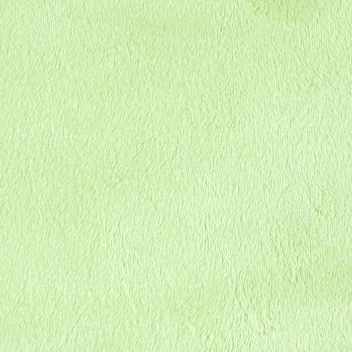 Mint Smooth - Shannon Fabrics Cuddle Minky