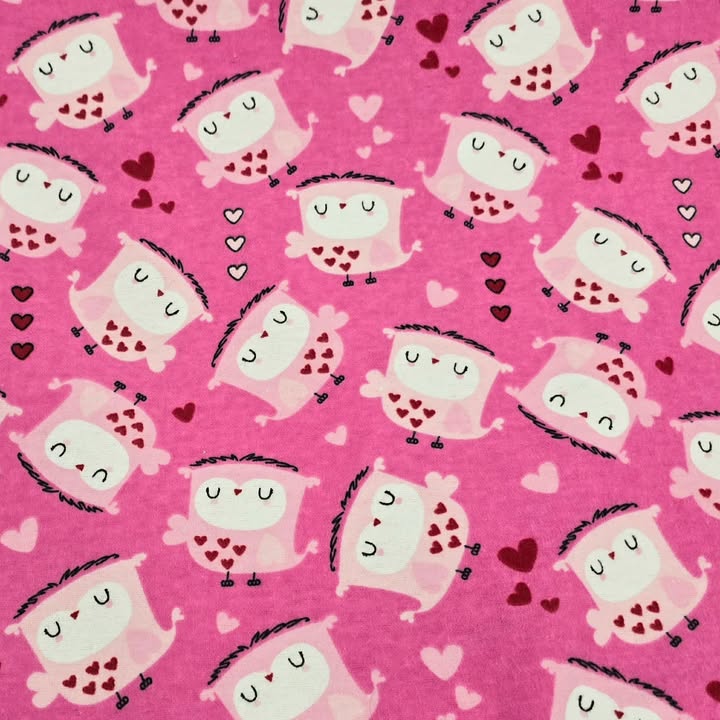 Owls & Hearts - Camelot Flannel