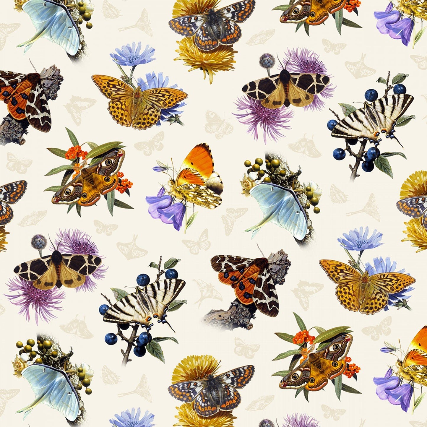 CLEARANCE Butterflies & Moths Cream - Elizabeth's Studio Cotton