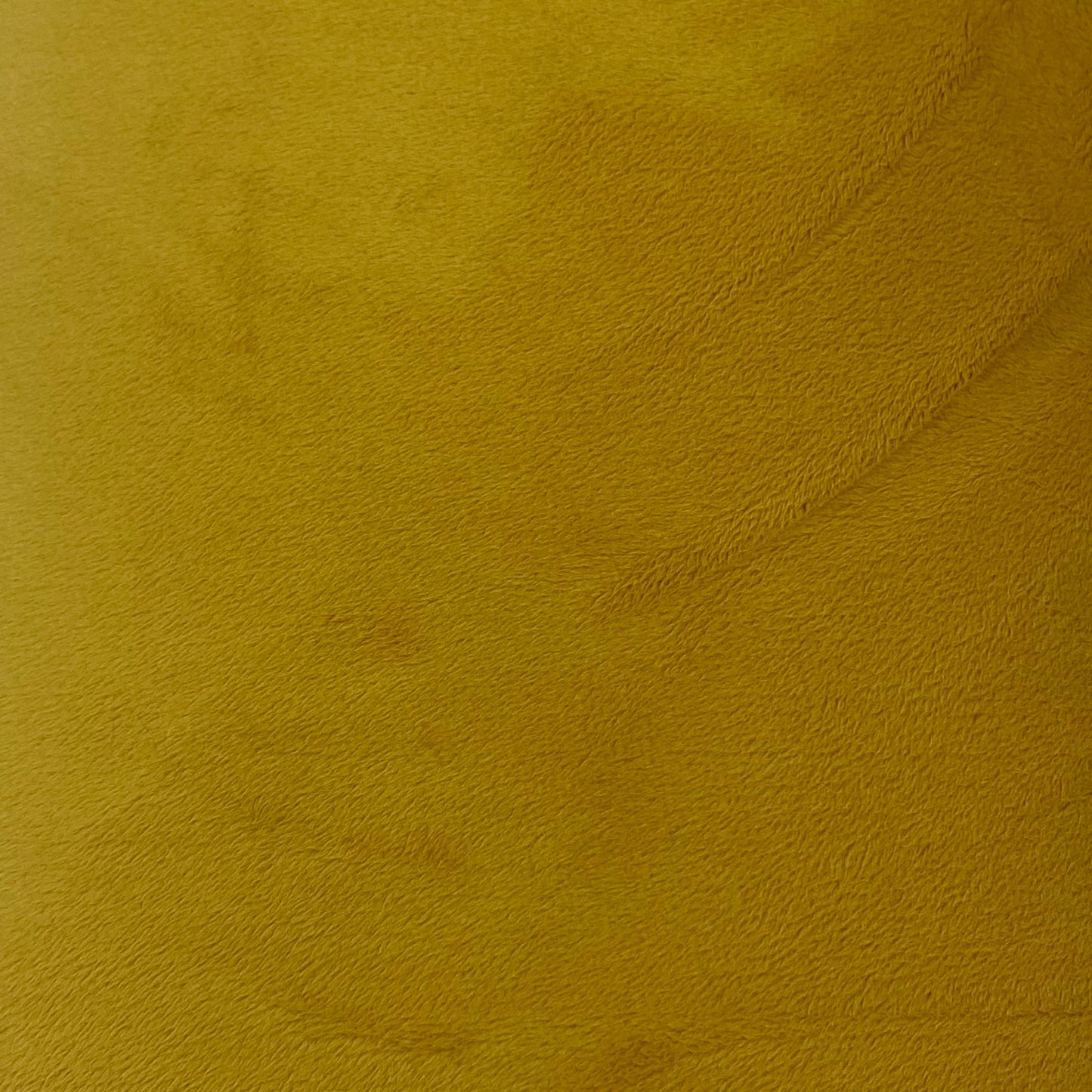 90" Golden Smooth - Shannon Fabrics Cuddle Minky