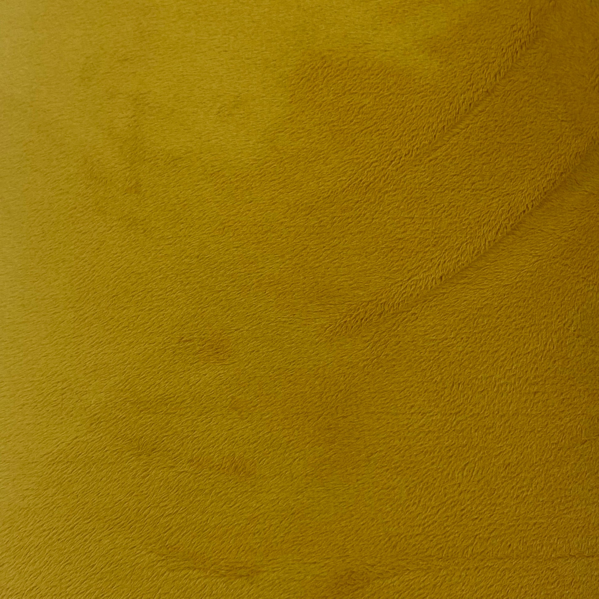 90" Golden Smooth - Shannon Fabrics Cuddle Minky