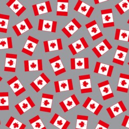  Canadian Flag on Grey Purely Canadian - Robert Kaufman Minky (17386/mink 12) 