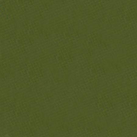Cactus Smooth - Shannon Fabrics Cuddle Minky