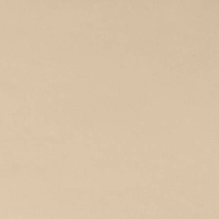 90" Latte Smooth - Shannon Fabrics Cuddle Minky