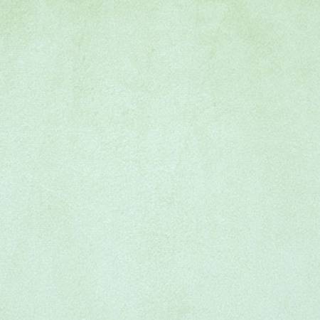 Sage Smooth - Shannon Fabrics Cuddle Minky