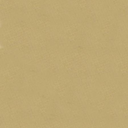 Sand Smooth - Shannon Fabrics Cuddle Minky