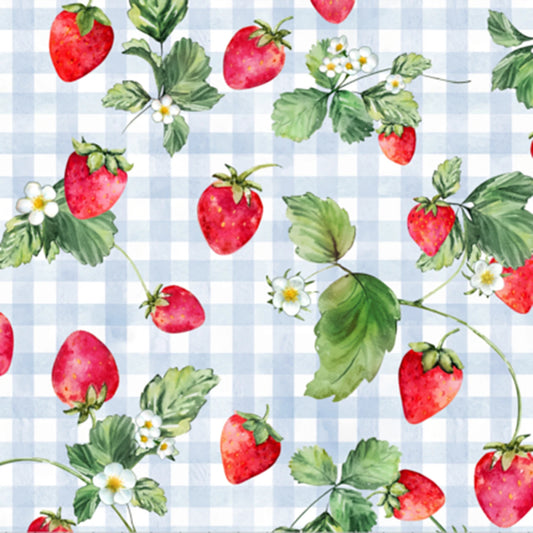 Berry Sweet Double Sided Cloud Cuddle - Shannon Fabrics Cuddle Minky