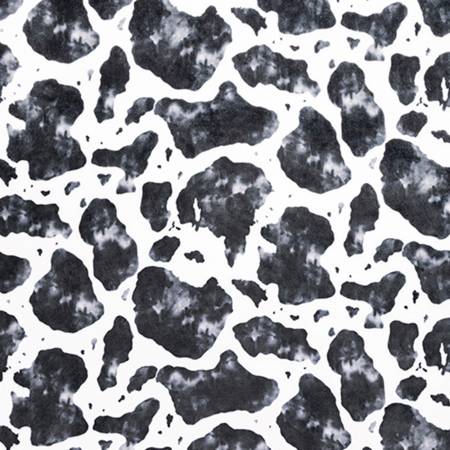 Black Cow Double Sided Cloud Cuddle - Shannon Fabrics Cuddle Minky