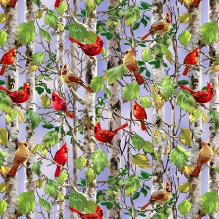 Multi Cardinal On Birch Tree - Timeless Treasures Cotton