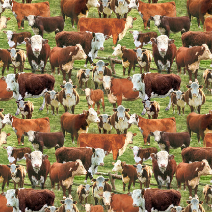 Hereford Cows In A Corral - Timeless Treasures Cotton