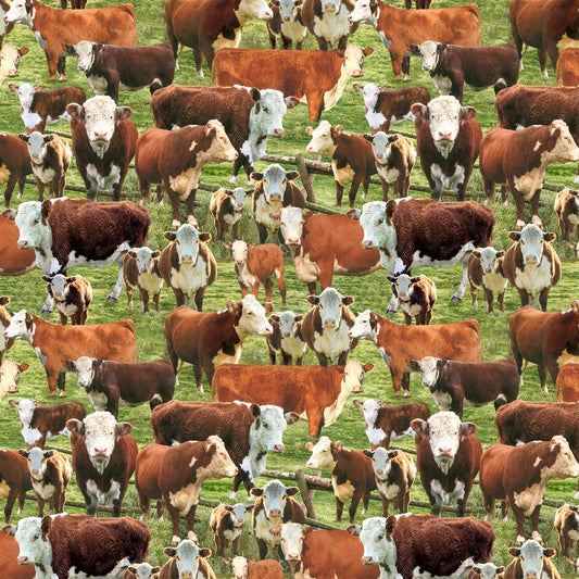 Hereford Cows In A Corral - Timeless Treasures Cotton