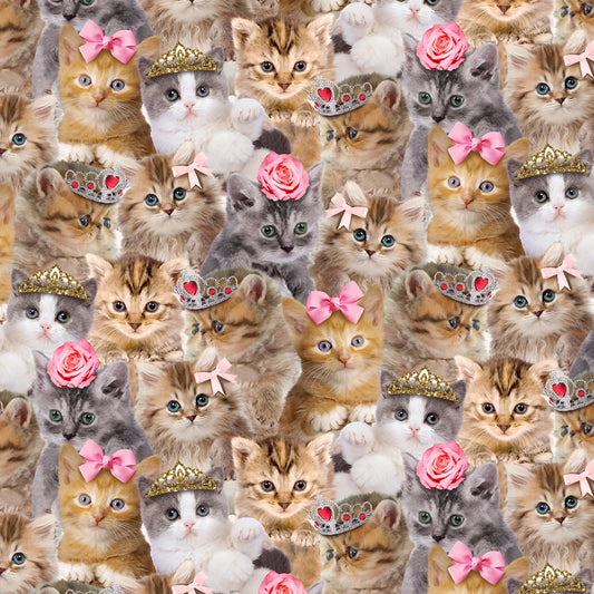 Princess Kitty - Timeless Treasures Cotton (CD3579)