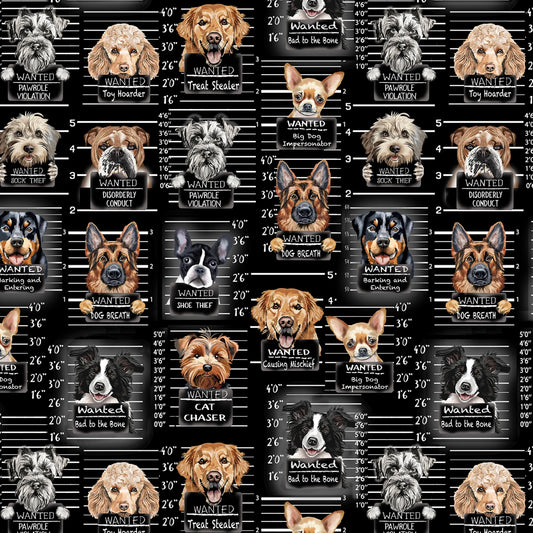 Black Dog Mugshots - Timeless Treasures Cotton