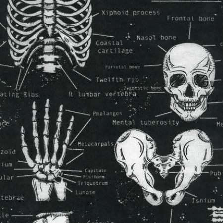 Glow In The Dark Skeleton - Timeless Treasures Cotton (CG9810-BLACK) 