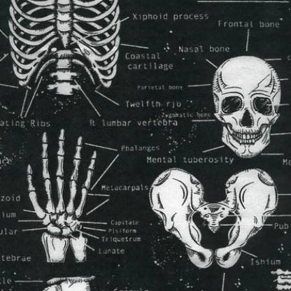 Glow In The Dark Skeleton - Timeless Treasures Cotton (CG9810-BLACK) 