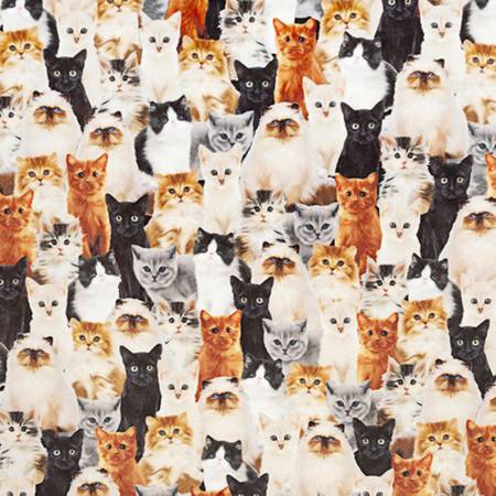 Here Kitty Beige Digital - Shannon Fabrics Cuddle Minky