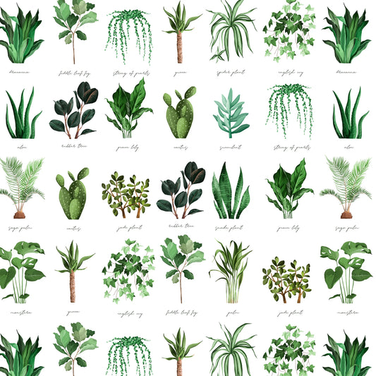 Plant Names - David Textiles