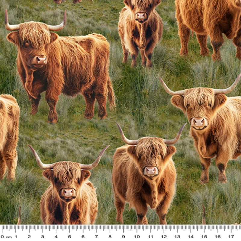 Highland Cows - KK Fabrics Cotton