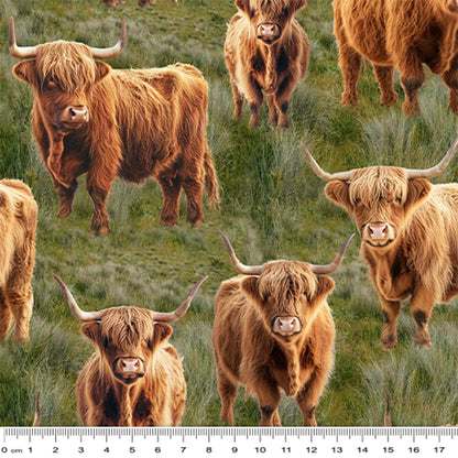 Highland Cows - KK Fabrics Cotton