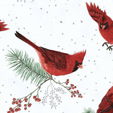 Cardinal Hoffman Frost Flight Digital - Shannon Fabrics Cuddle Minky