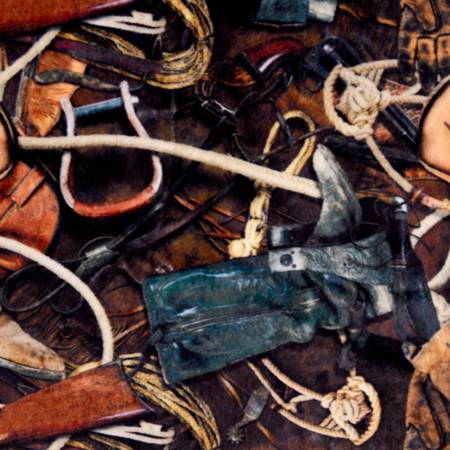 Brown Hoffman Sundown Digital - Shannon Fabrics Cuddle Minky