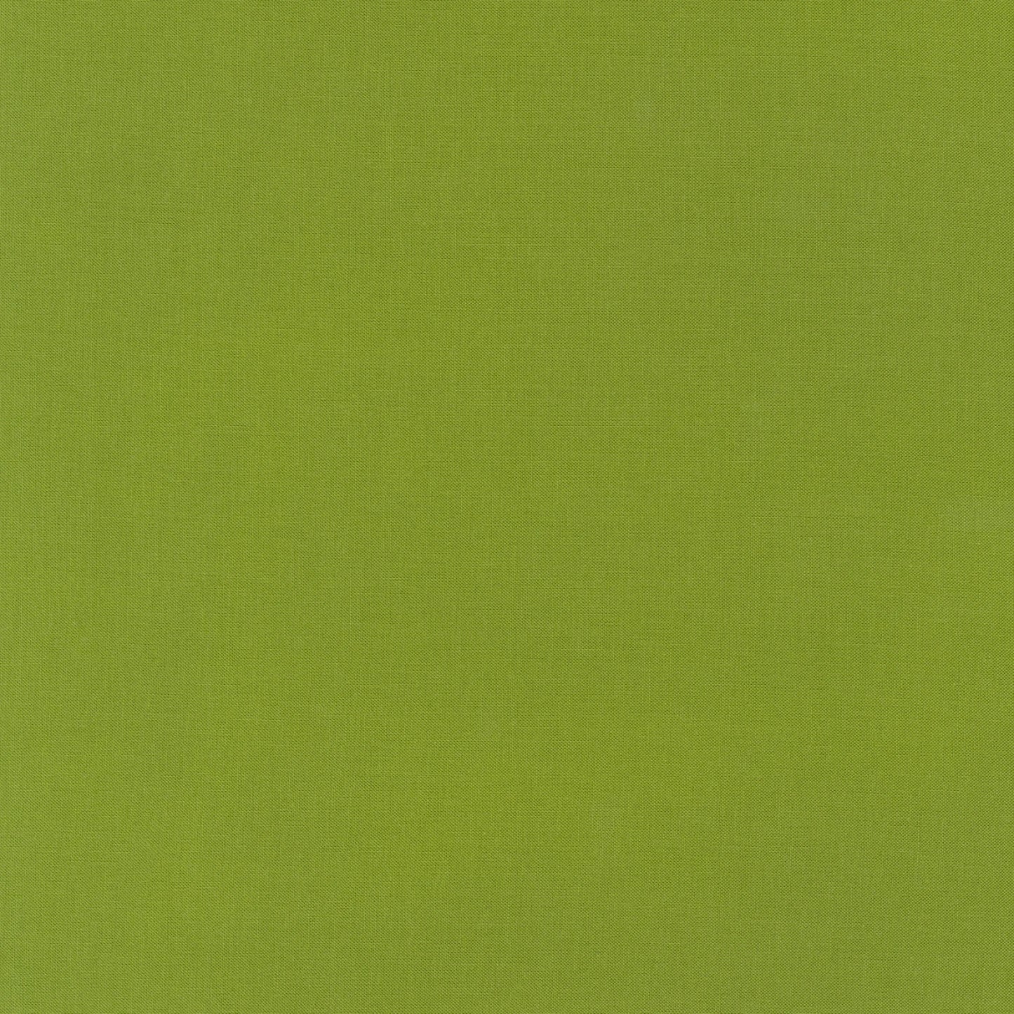 Kona Gecko – Robert Kaufman Cotton (k001-1843)