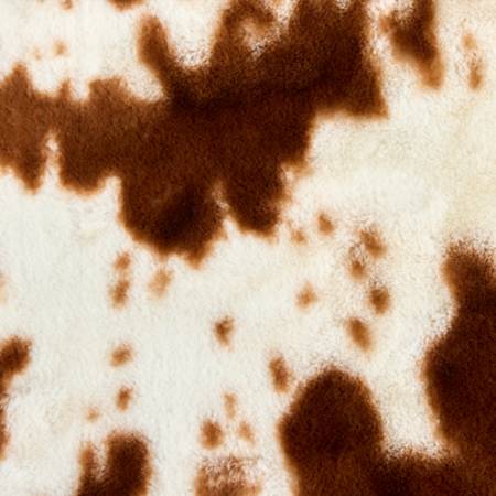 Woodland Pony Luxe - Shannon Fabrics Minky