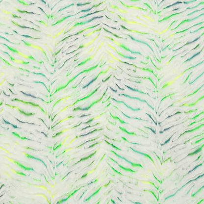 Parakeet Prism Luxe - Shannon Fabrics Cuddle Minky.