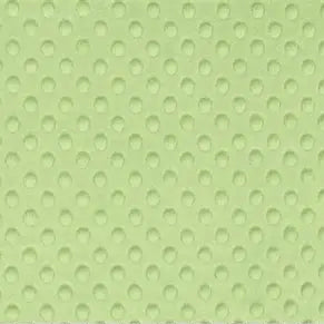 Sage Dimple - Shannon Fabrics Cuddle Minky