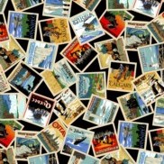 Vintage Postcards - Proudly Canadian - Red Pine Cotton