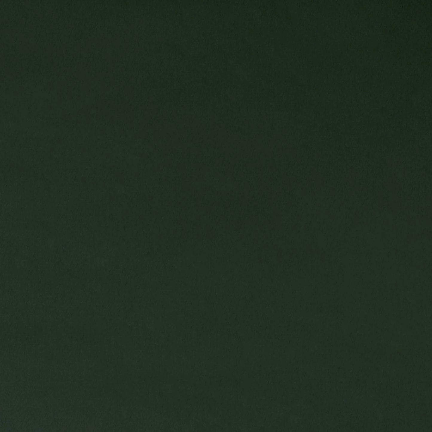 Forest Quilting Cuddle - Shannon Fabrics (qcforest)