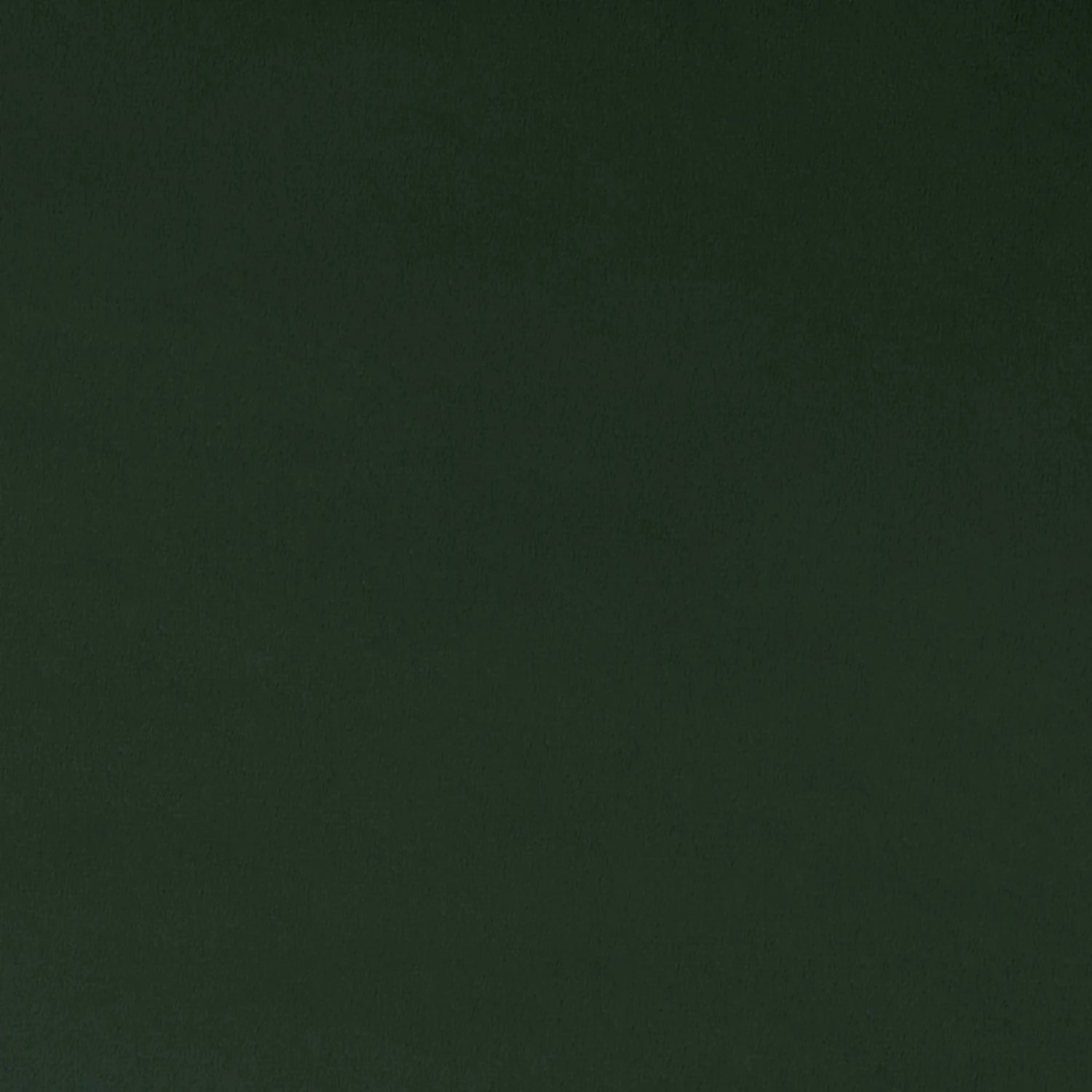 Forest Quilting Cuddle - Shannon Fabrics (qcforest)