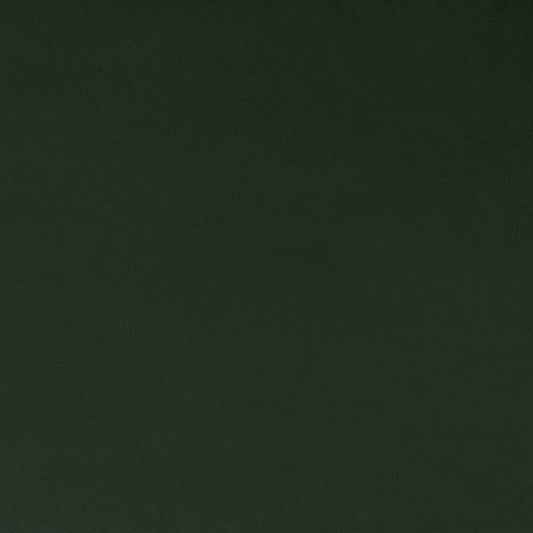 Forest Quilting Cuddle - Shannon Fabrics (qcforest)