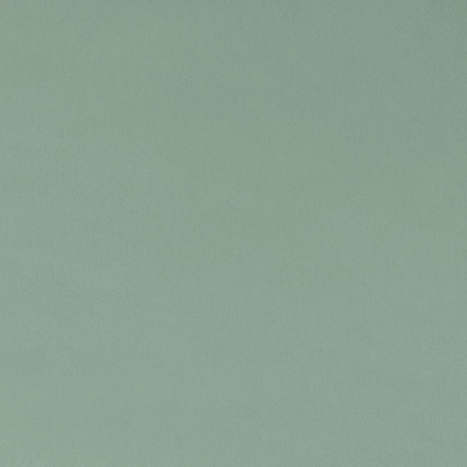 Juniper Quilting Cuddle - Shannon Fabrics (qcjuniper)