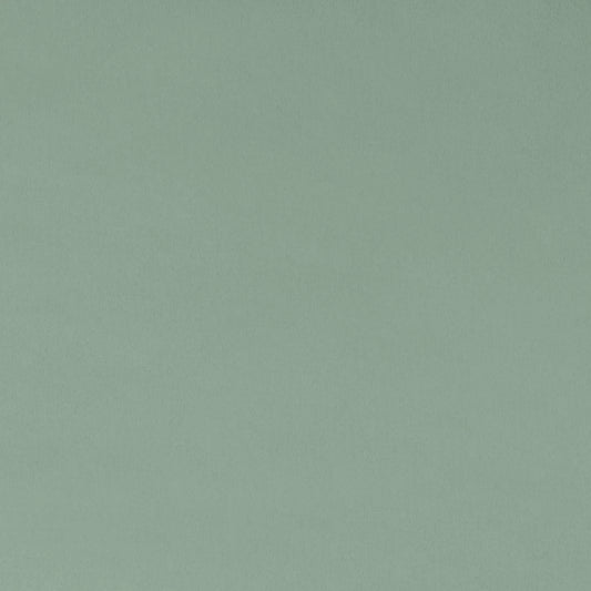 Juniper Quilting Cuddle - Shannon Fabrics (qcjuniper)