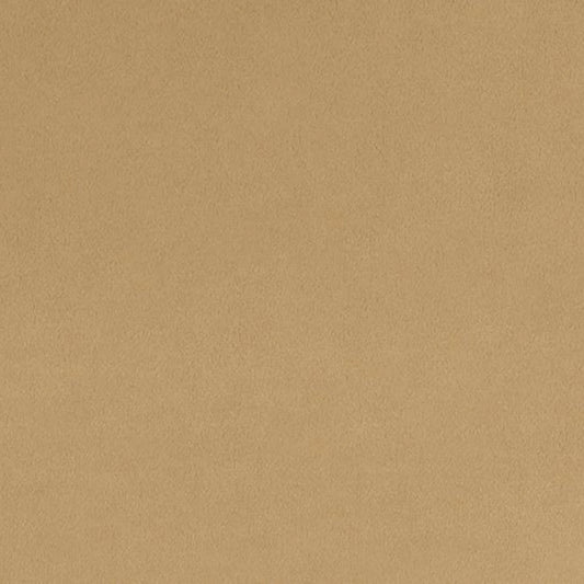 Sand Quilting Cuddle - Shannon Fabrics (QCSAND)