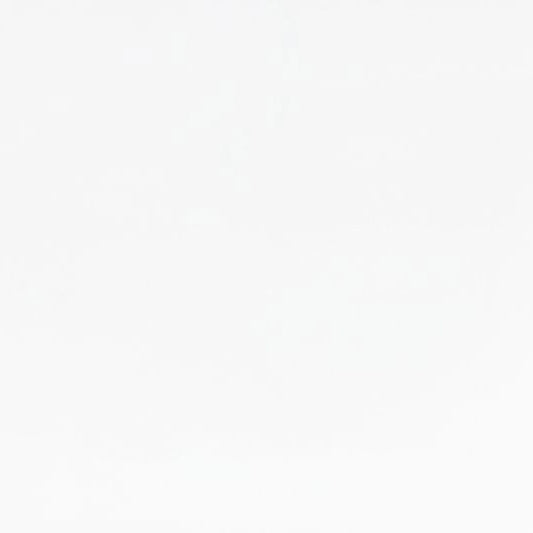 Snow Quilting Cuddle - Shannon Fabrics (QCSNOW)