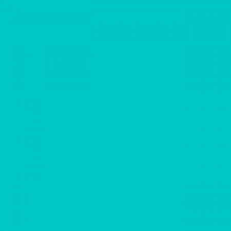 Turquoise Winter Fleece (WFS6800)