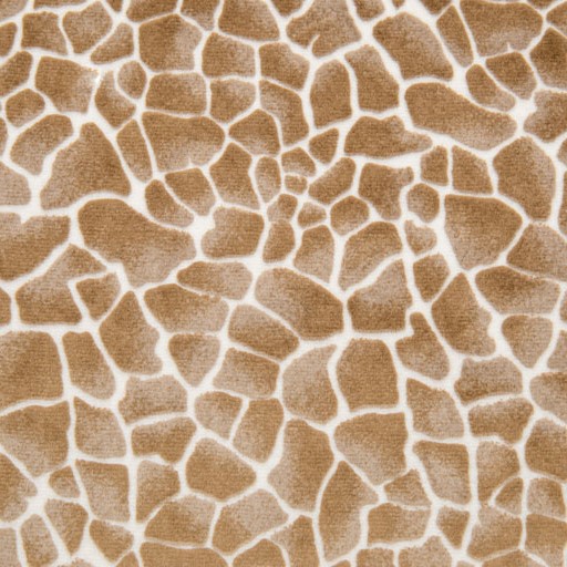 Cappuccino Baby Giraffe - Shannon Fabrics Cuddle Minky