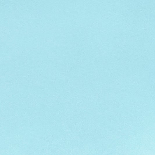 Aqua Smooth - Shannon Fabrics Cuddle Minky (