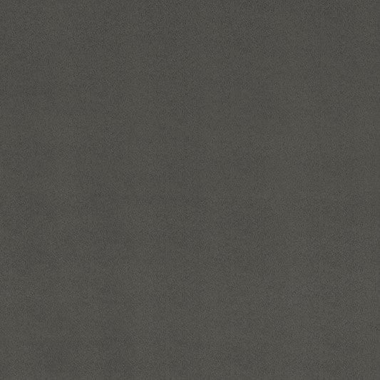 Ash Smooth - Shannon Fabrics Cuddle Minky