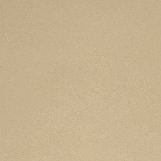 Beige Smooth - Shannon Fabrics Cuddle Minky